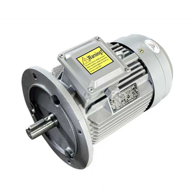 Động cơ không đồng bộ ba pha dòng YE3 B5 (lE3)